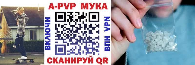Alfa_PVP СК Калининград