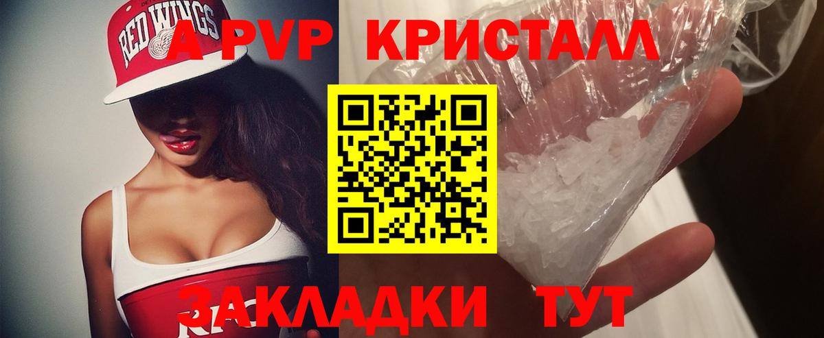 A PVP СК Калининград