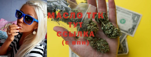 стафф Ельня