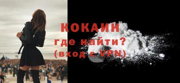 стафф Ельня
