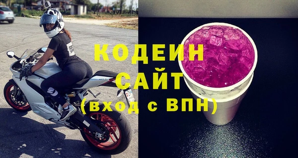 стафф Ельня