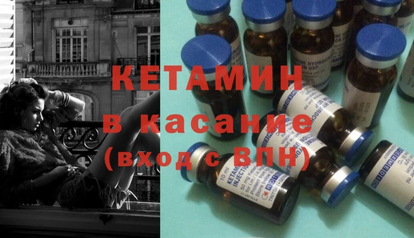 стафф Ельня