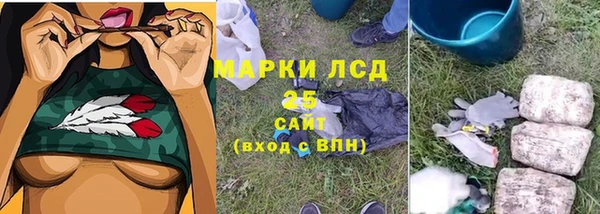 стафф Ельня