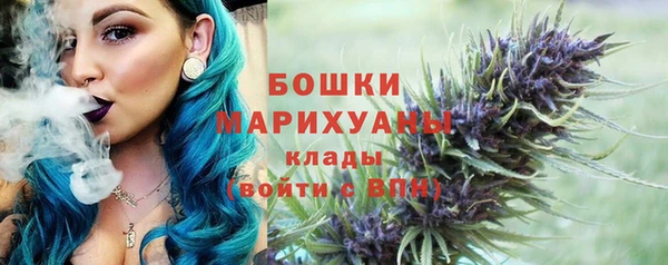 стафф Ельня