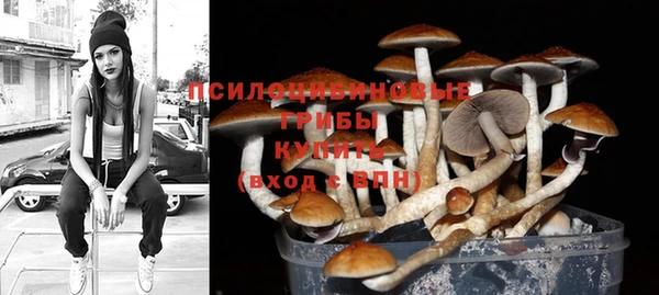 прущая мука Елизово