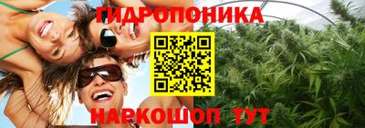 apvp Канаш