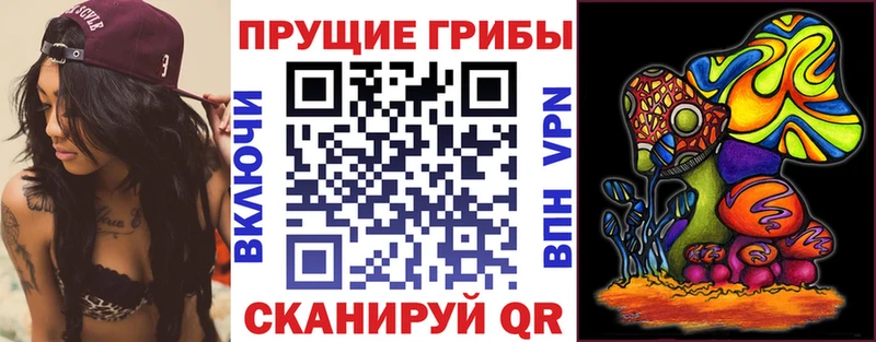 Псилоцибиновые грибы Cubensis  kraken tor  Калининград 